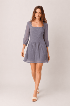 Embroidered Swiss-Dot Sheer Dress- Size: XS/S