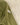 Minor defect close-up